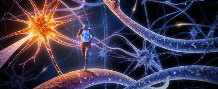 NLP 012 – Master Your Mind! for Managers & Leaders Using NLP